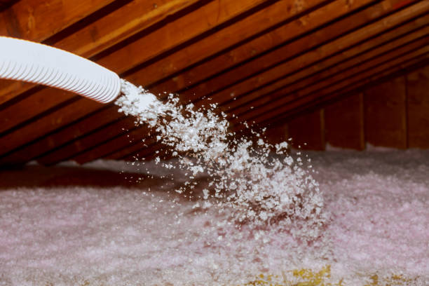 Best Types of Insulation in Teague, TX